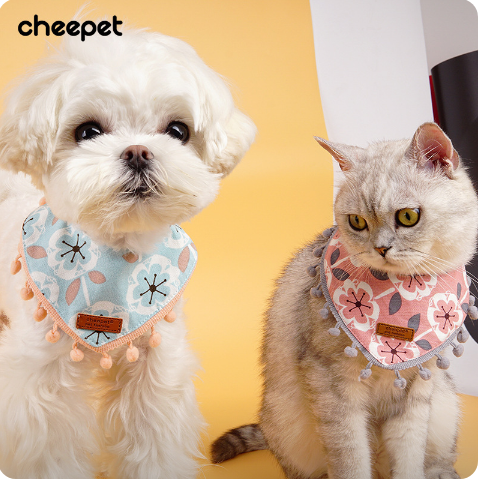 バンダナをつけて猫と犬