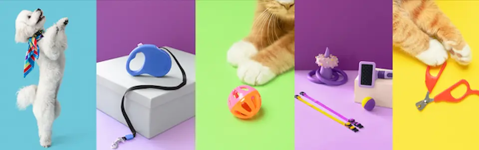 ペットとおもちゃのイメージ画像