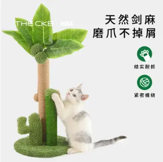 爪とぎおもちゃで爪を研ぐ猫
