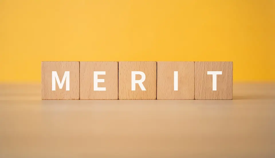 積み木に書かれたMERITの文字