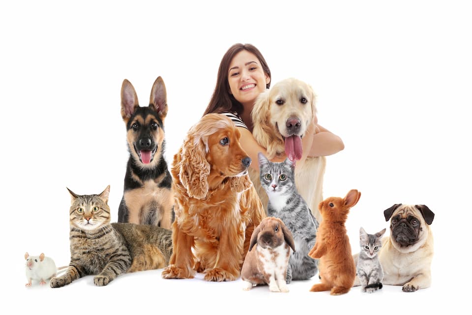 犬、猫、うさぎなど、多くのペットの女性