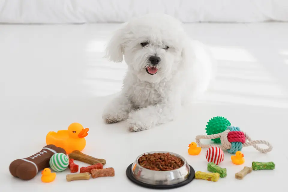 子犬とおもちゃ