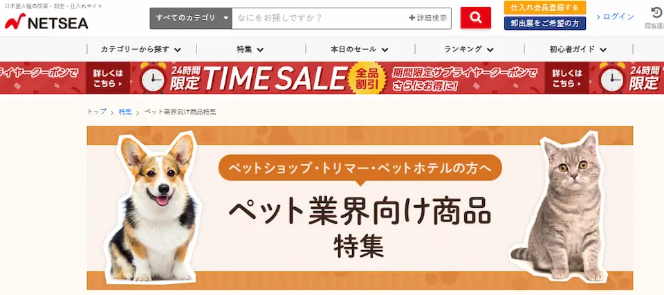 NETSEAのホームページ画像