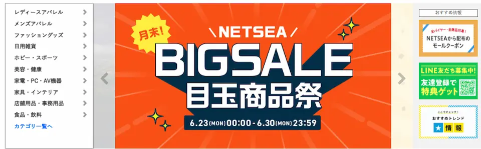 NETSEAのホームページ画像